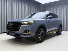 Haval H6 2021 National Trend Edition 1.5T Automatic Urban Version - ფოტო 1
