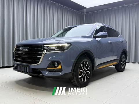 2022 Haval H6 National Trend Edition 1.5T Automatic Urban Version