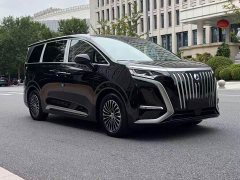Denza BYD Denza D9 2024 EV 620 Premium Edition - ფოტო 3