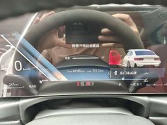 BMW 3 Series 320Li M Sport Package - ფოტო 10