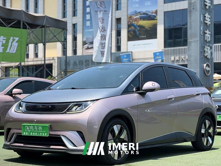 BYD Dolphin 401km Knight Edition