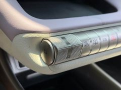 BYD Dolphin 401km Knight Edition - ფოტო 11