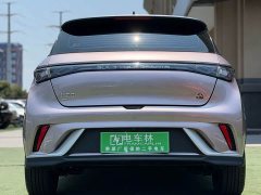 BYD Dolphin 401km Knight Edition - ფოტო 17
