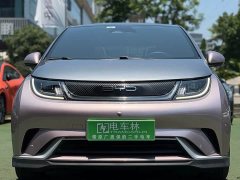 BYD Dolphin 401km Knight Edition - ფოტო 2