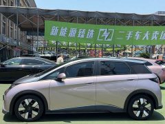 BYD Dolphin 401km Knight Edition - ფოტო 3