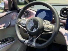 BYD Dolphin 401km Knight Edition - ფოტო 9