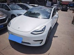 Tesla Model 3 Standard Range RWD Upgrade - ფოტო 1