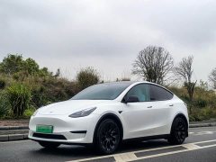Tesla Model Y 2022 Facelift Rear-Wheel Drive - ფოტო 1