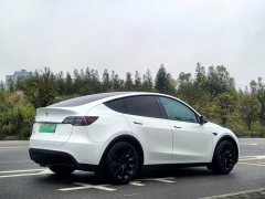 Tesla Model Y 2022 Facelift Rear-Wheel Drive - ფოტო 6