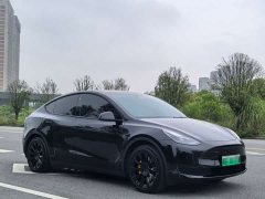 Tesla Model Y 2022 Facelift Rear-Wheel Drive - ფოტო 3