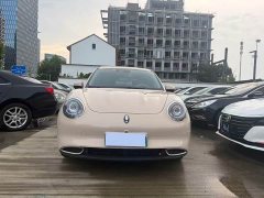 ORA Good Cat 400km Standard Range Luxury Lithium Iron Phosphate - ფოტო 2