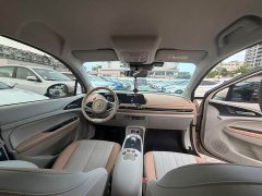 ORA Good Cat 400km Standard Range Luxury Lithium Iron Phosphate - ფოტო 9