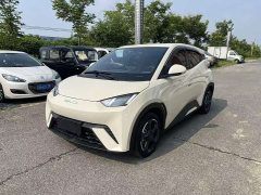 BYD Seagull Glory Edition 305km Vitality Version - ფოტო 1