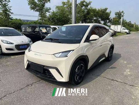 2024 BYD Seagull Glory Edition 305km Vitality Version - ავტომობილი ჩინეთიდან