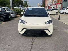 BYD Seagull Glory Edition 305km Vitality Version - ფოტო 2
