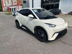 BYD Seagull Glory Edition 305km Vitality Version - ფოტო 3