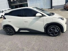 BYD Seagull Glory Edition 305km Vitality Version - ფოტო 4