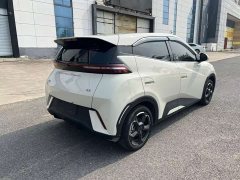 BYD Seagull Glory Edition 305km Vitality Version - ფოტო 5