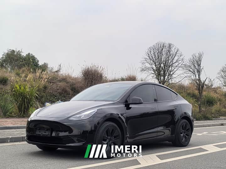 Tesla Model Y Rear-Wheel Drive - ავტომობილი ჩინეთიდან
