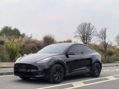 Tesla Model Y Rear-Wheel Drive - ფოტო 1
