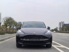 Tesla Model Y Rear-Wheel Drive - ფოტო 2
