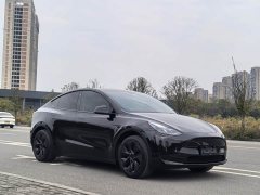 Tesla Model Y Rear-Wheel Drive - ფოტო 3