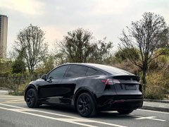 Tesla Model Y Rear-Wheel Drive - ფოტო 4