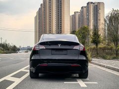 Tesla Model Y Rear-Wheel Drive - ფოტო 5