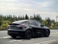 Tesla Model Y Rear-Wheel Drive - ფოტო 6