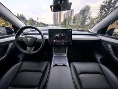 Tesla Model Y Rear-Wheel Drive - ფოტო 9