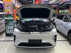 Haval Xiaolong MAX Hi4 165 Plus Long Range - ფოტო 19