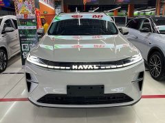 Haval Xiaolong MAX Hi4 165 Plus Long Range - ფოტო 2