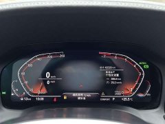 BMW 3 Series 320Li M Sport Package - ფოტო 14