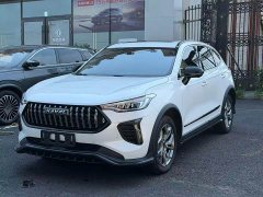 Haval Chitu 2021 Jiqing Edition 1.5T Golden Rabbit - ფოტო 1
