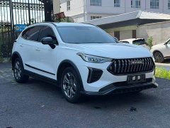 Haval Chitu 2021 Jiqing Edition 1.5T Golden Rabbit - ფოტო 4