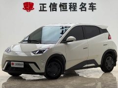 BYD Seagull 2023 Freedom Edition - ფოტო 1