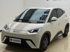 BYD Seagull 2023 Freedom Edition - ფოტო 5