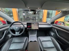 Tesla Model 3 Standard Range RWD Upgrade 3D6 - ფოტო 15