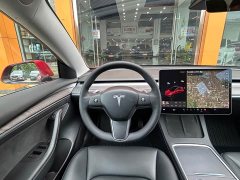 Tesla Model 3 Standard Range RWD Upgrade 3D6 - ფოტო 18