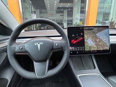 Tesla Model 3 Standard Range RWD Upgrade 3D6 - ფოტო 20
