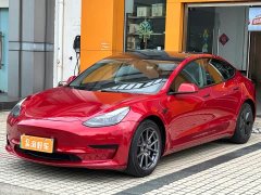 Tesla Model 3 Standard Range RWD Upgrade 3D6 - ფოტო 4