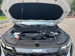 Geely Boyue L 1.5TD DCT Longteng Edition - ფოტო 18