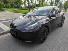 Tesla Model Y Rear-Wheel Drive - ფოტო 1