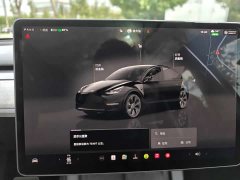 Tesla Model Y Rear-Wheel Drive - ფოტო 2