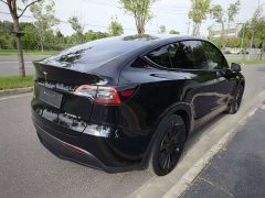 Tesla Model Y Rear-Wheel Drive - ფოტო 8