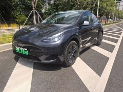 Tesla Model Y Rear-Wheel Drive - ფოტო 1