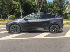 Tesla Model Y Rear-Wheel Drive - ფოტო 3