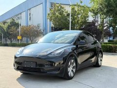Tesla Model Y Rear-Wheel Drive - ფოტო 1