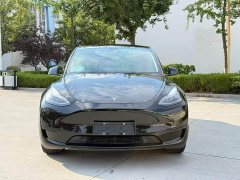 Tesla Model Y Rear-Wheel Drive - ფოტო 2
