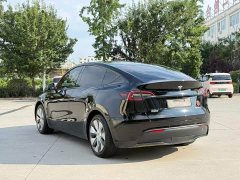 Tesla Model Y Rear-Wheel Drive - ფოტო 3